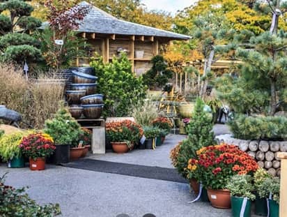 Mahoney's Garden Center en Brighton, MA