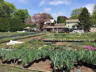 McCue Gardens en Wethersfield, CT