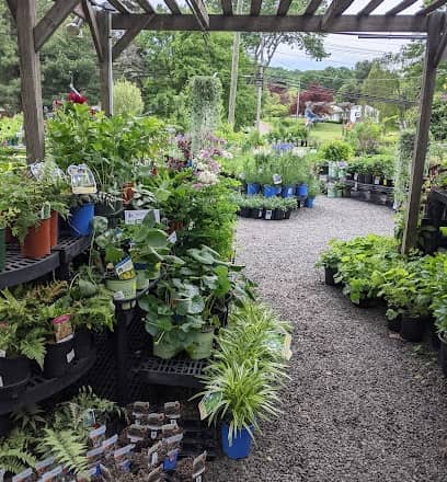 Vivero Natureworks en Connecticut, CT
