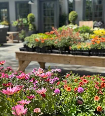 Outdoor Design & Living en Fairfield, CT