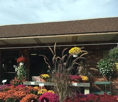Paradise Nurseries en Hamden, CT