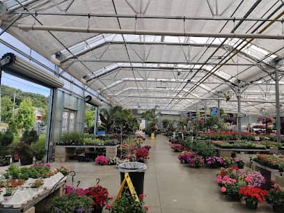 Treeland Garden Center & Nursery en Bridgeport. CT
