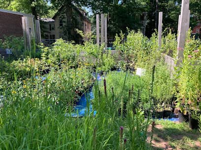 Urbanscapes Native Plant Nursery en New Haven