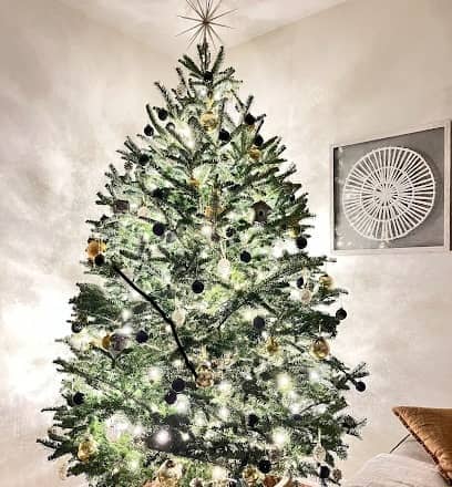 Berghahns Garden Store en Saddle Brook, NJ