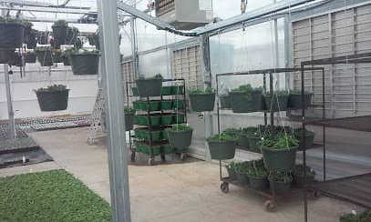 Blooma Farms en -Arvada