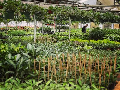 Calabrese Greenhouse, Inc. en Arvada, CO