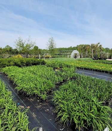 Coastal Landscapes and Nursery en Virginia Beach, VA