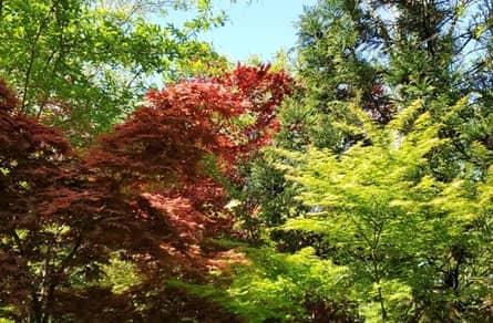 Garden of Eden en Hot Springs