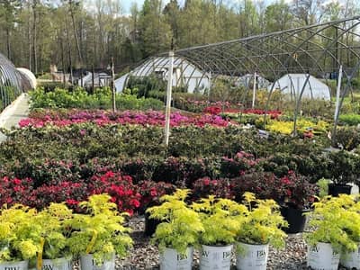 Gardener Nursery en Richmond