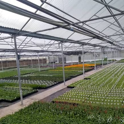 Giambrocco & Sons Garden Center en Arvada
