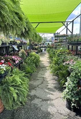 Greenhouse II Inc en Richmond