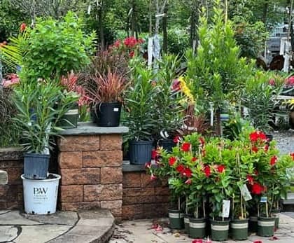 LTD Nursery & Landscape Contractors en Bernardsville, NJ
