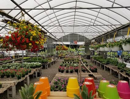 Meadows Farms Nursery & Landscaping – Manassas, VA