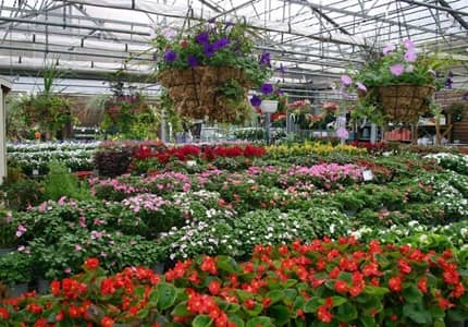 Merrifield Garden Center en Fairfax VA