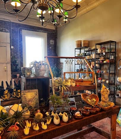 Plant Parlor en Russellville, AR