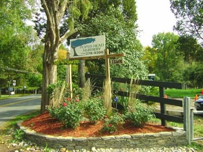 Popes Head Nursery en Fairfax, VA
