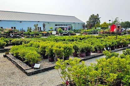 The Great Big Greenhouse Garden Center & Plant Nursery en Richmond, VA