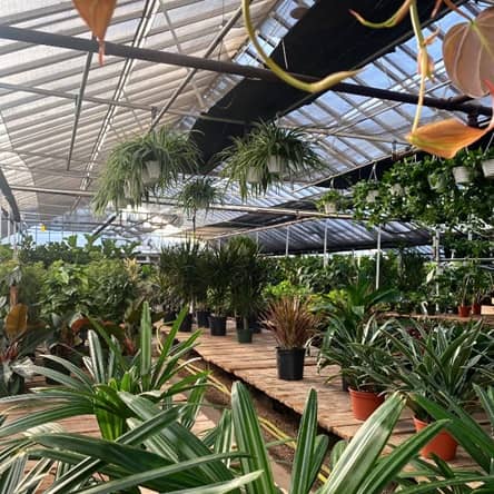 The Plant Ranch en Arvada, CO