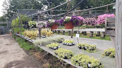 Victoria's Nursery en North Bergen, NJ