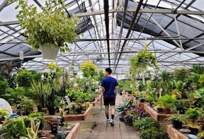 Wolf Trap Nursery en Virginia, Vienna