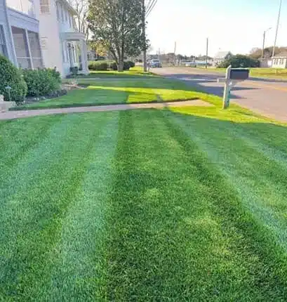 Andy’s Lawn and Landscape en Falls Church