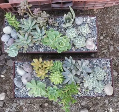 Vivero Tres Marías