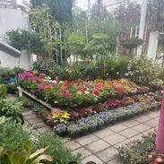 Viveros SLP